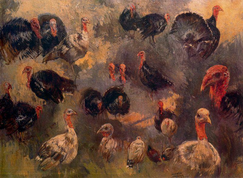 Study Of Turkeys — Мариано Барбасан