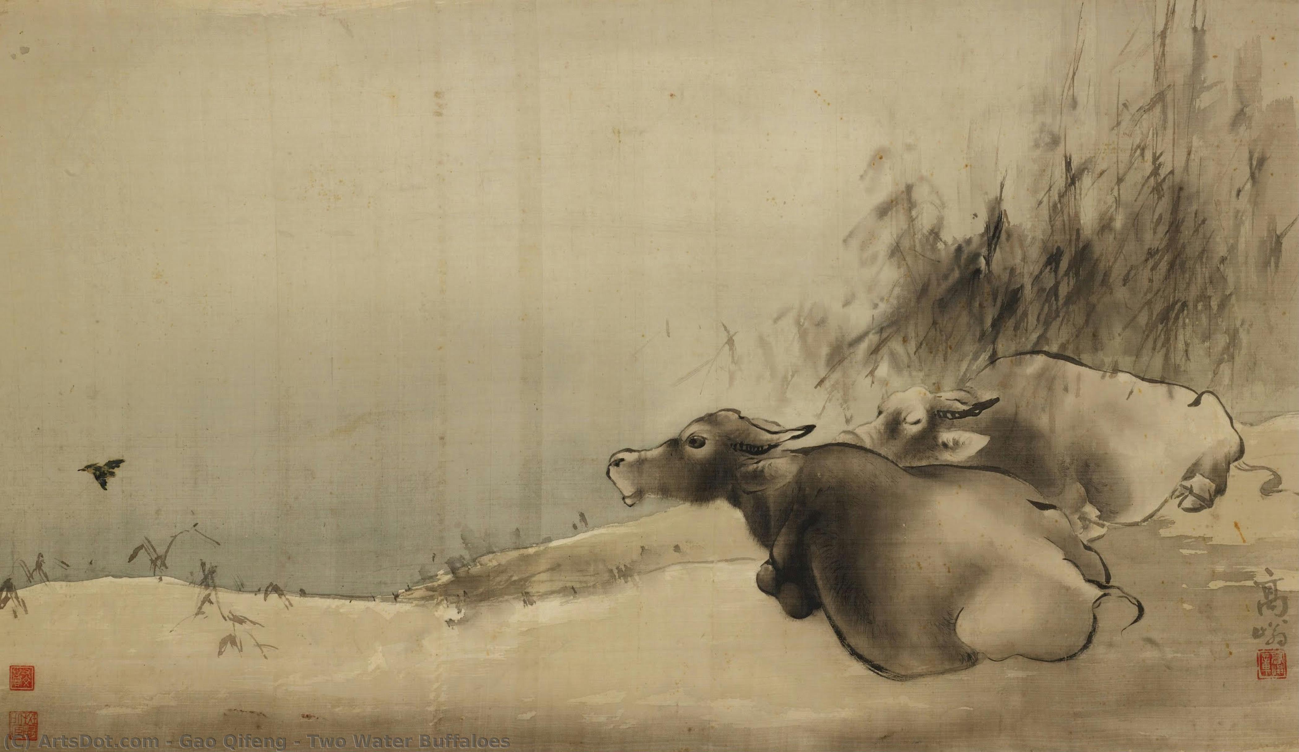Two Water Buffaloes — Gao Qifeng
