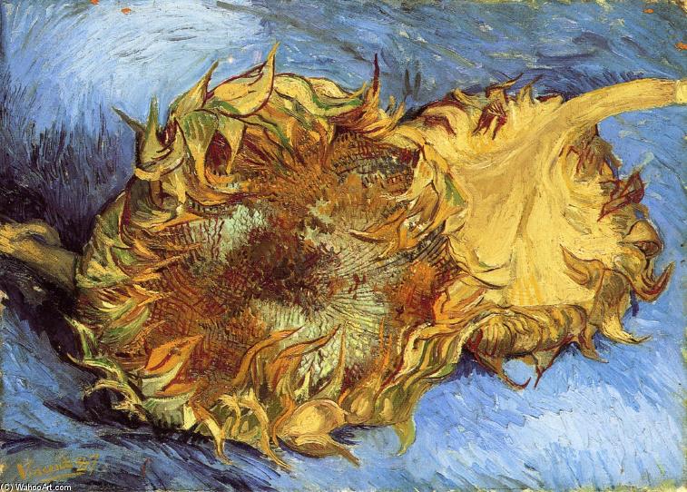 Still Life With Two Sunflowers — Vincent Willem Van Gogh