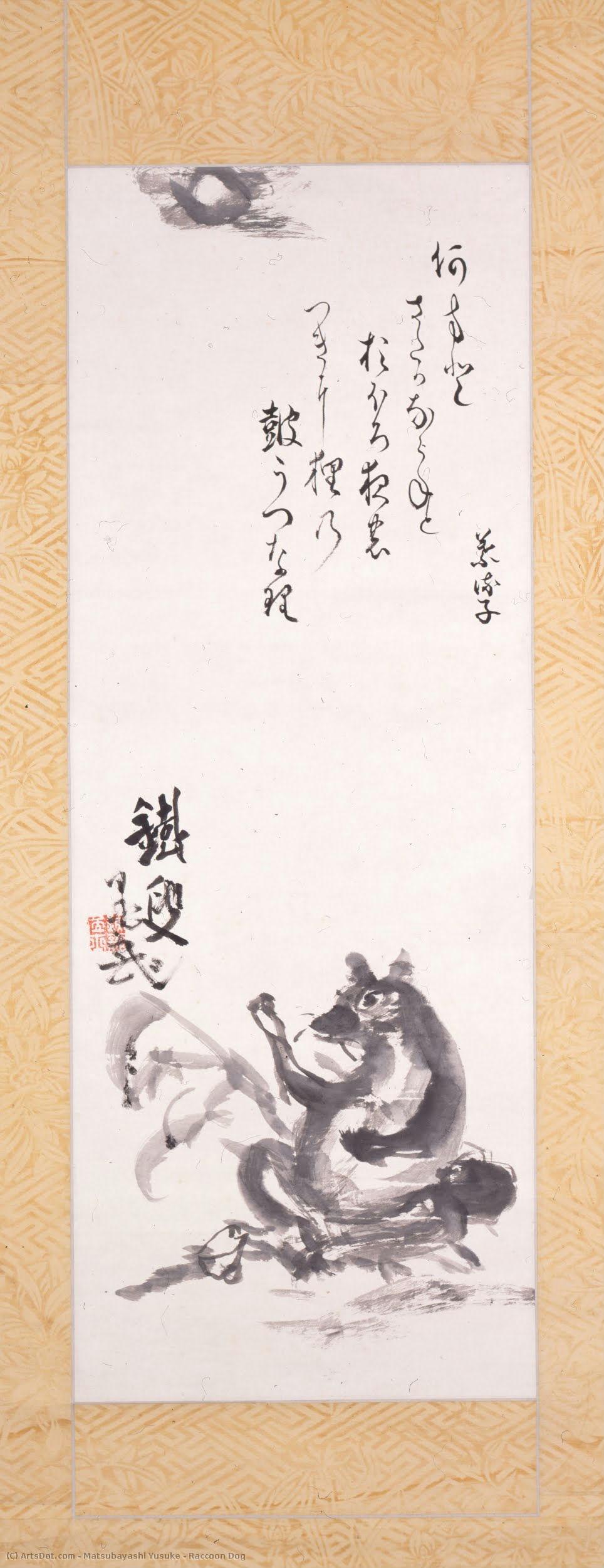 Raccoon Dog — Matsubayashi Yusuke