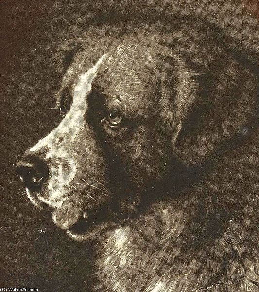 Bayard - Nicknamed Barry — Frank Paton