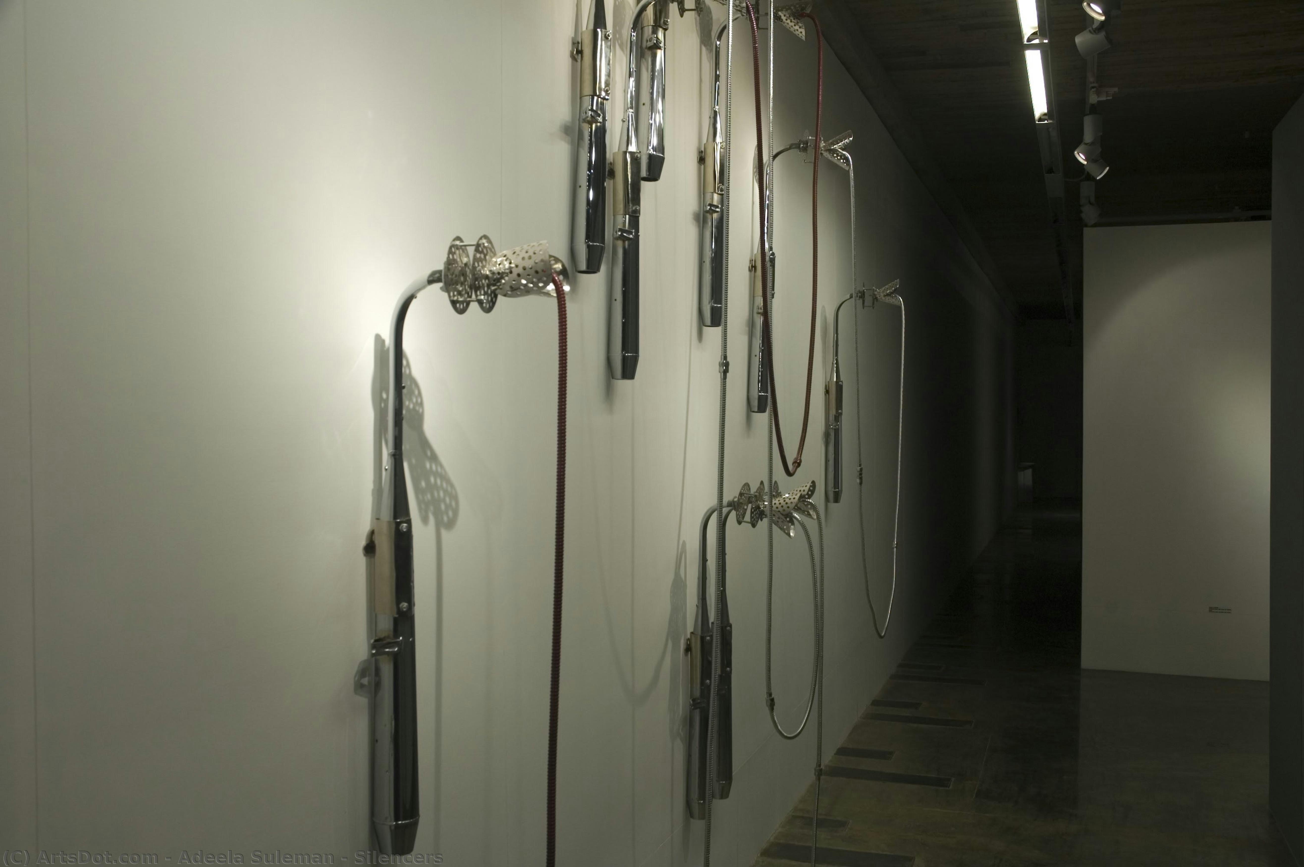 Silencers — Adeela Suleman