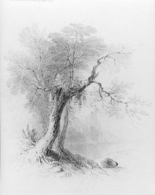 Landscape (from Mcguire Scrapbook) — Asher Brown Durand