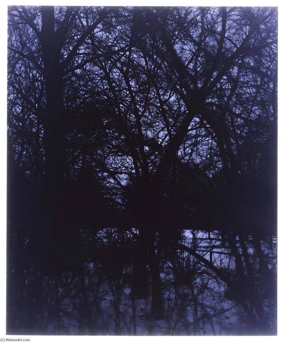 Tiergarten West Berlin, From The Series Stadt Des Schwartz — John Ralph Gossage