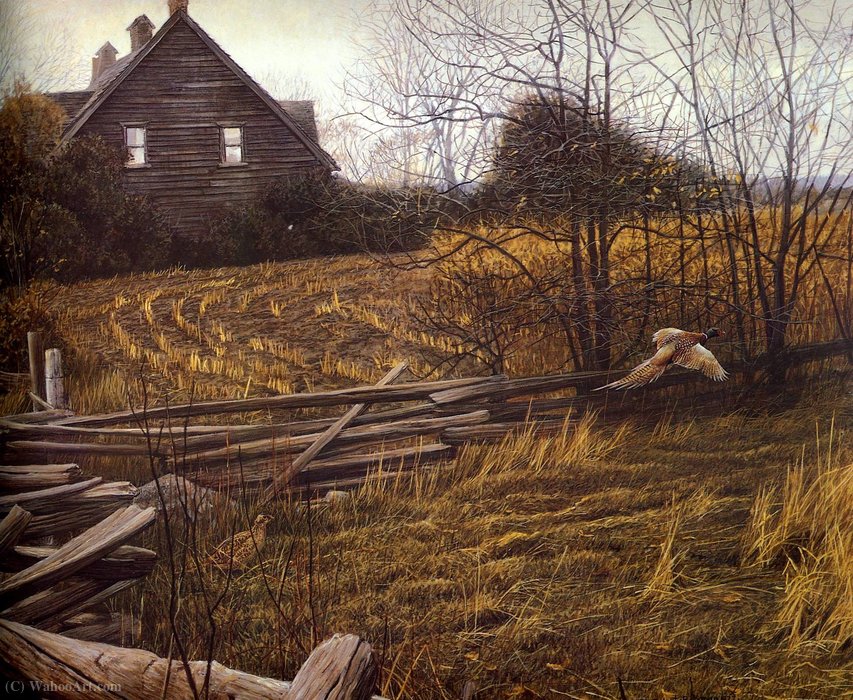 Untitled (445) — Robert Bateman