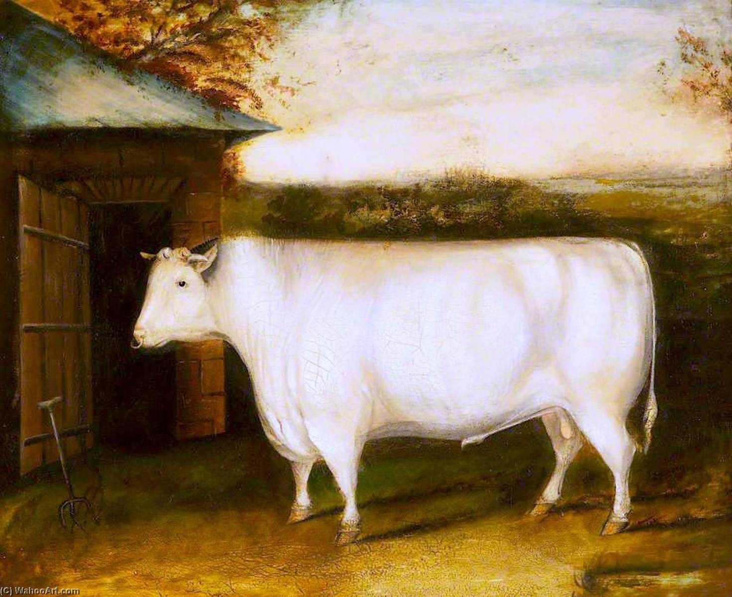 The Famous Early Bull Property Of Robert Collings Of Barmpton, Darlington — David Of York Dalby