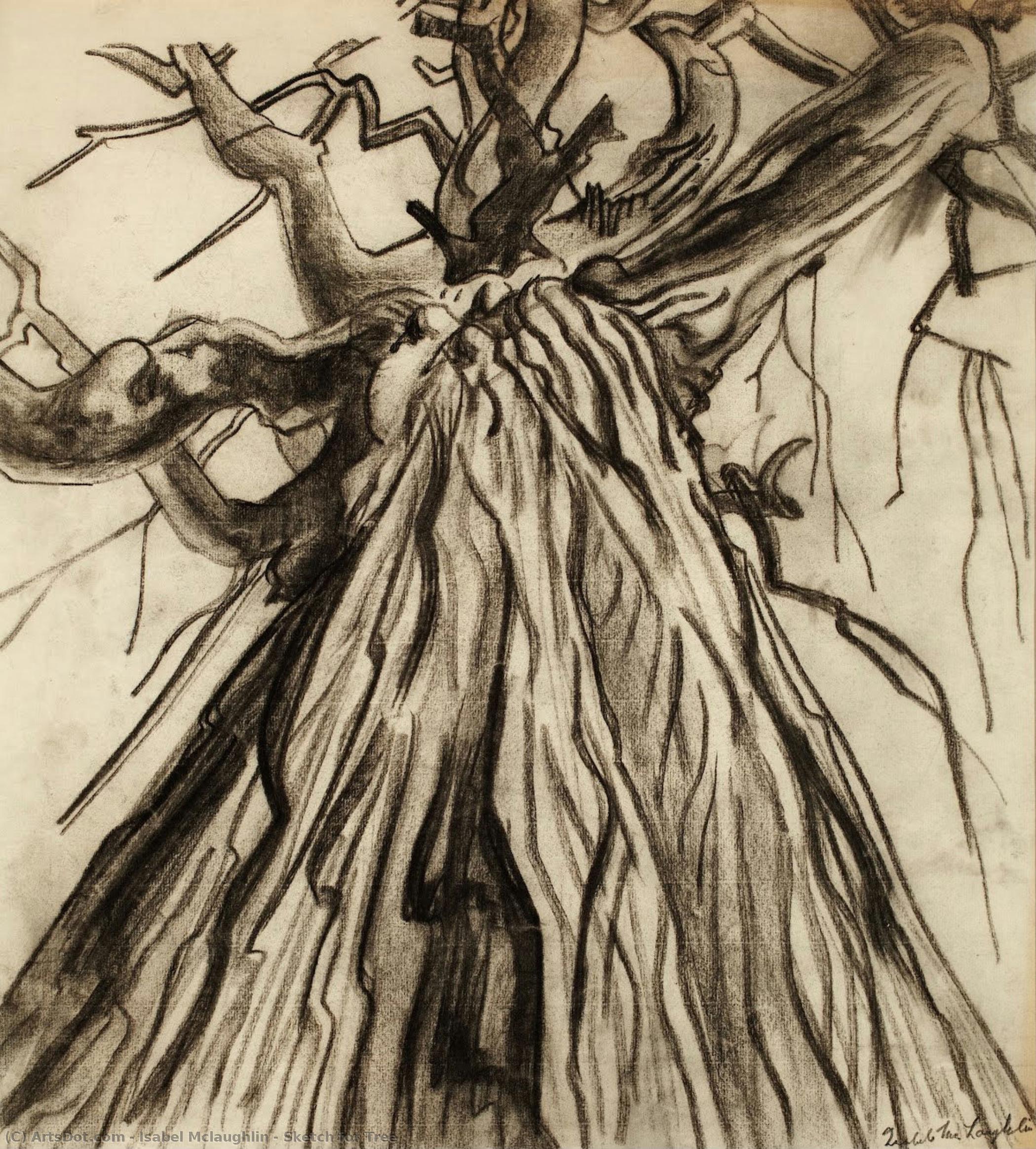 Sketch For Tree — Изабель Маклафлин