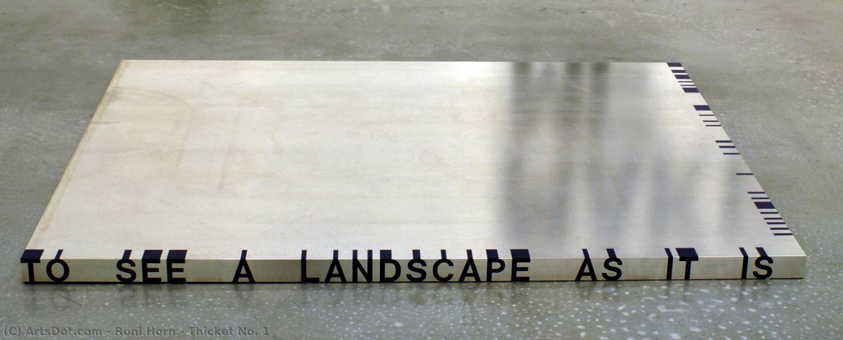 Thicket No. 1 — Roni Horn