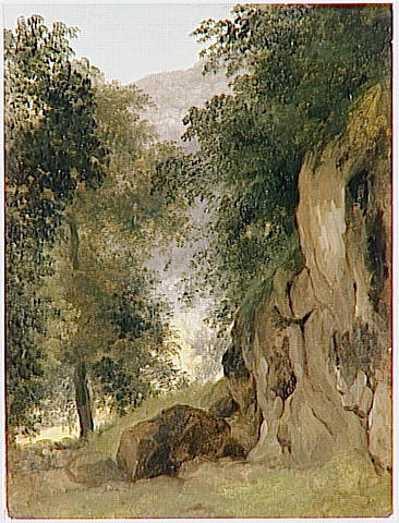 Environs Du Lac De Nemi Arbres Et Rochers — Pierre De Valenciennes