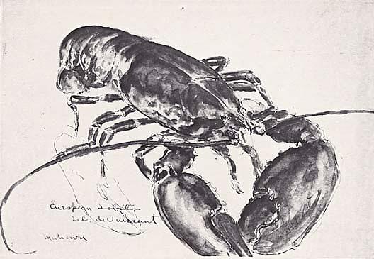 European Lobster, (painting) — Mahonri Young