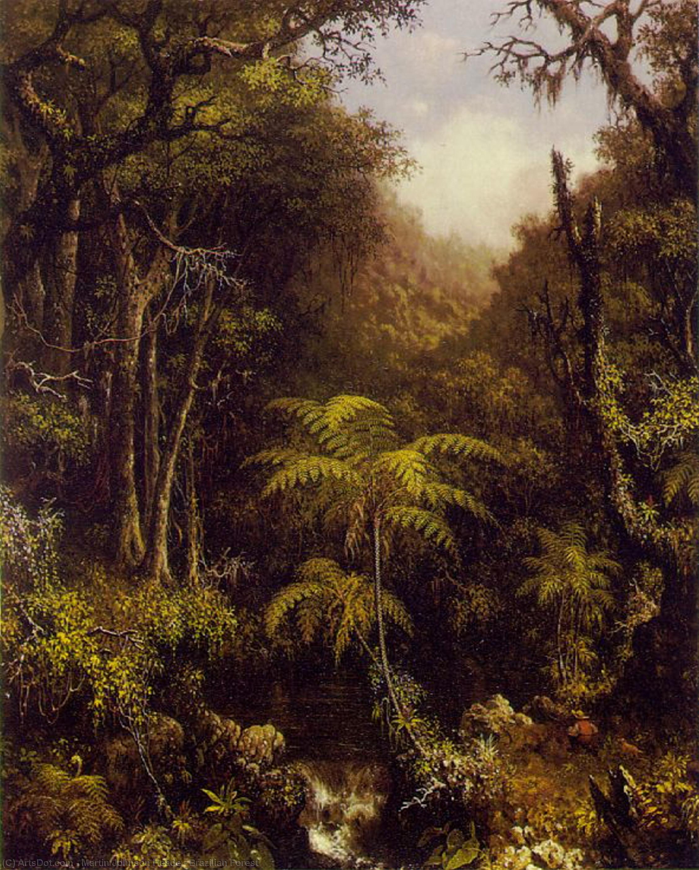 Brazilian Forest — Martin Johnson Heade