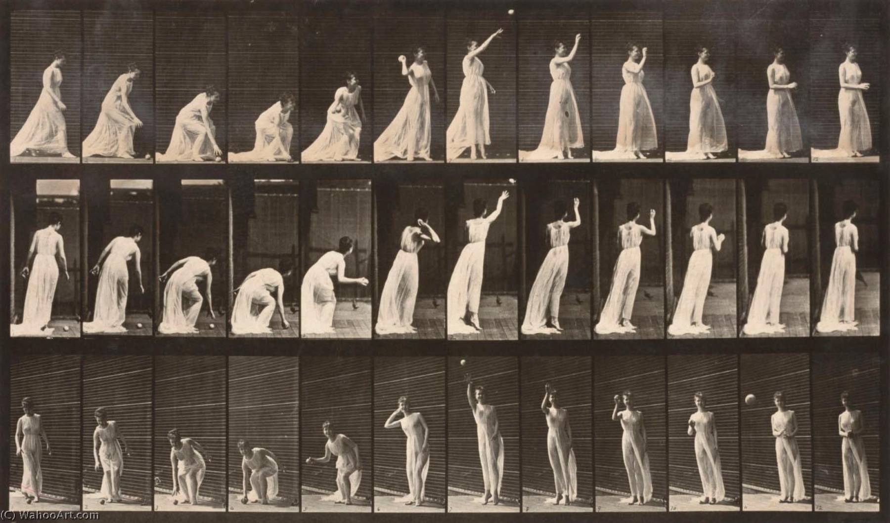 Woman Picking Up A Ball And Throwing It, From The Book Animal Locomotion — エドワード・j・マイブリッジ