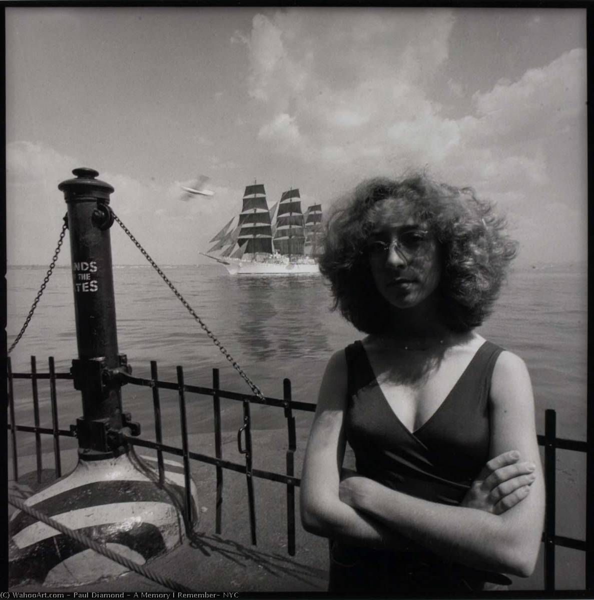 A Memory I Remember, Nyc — Paul Diamond