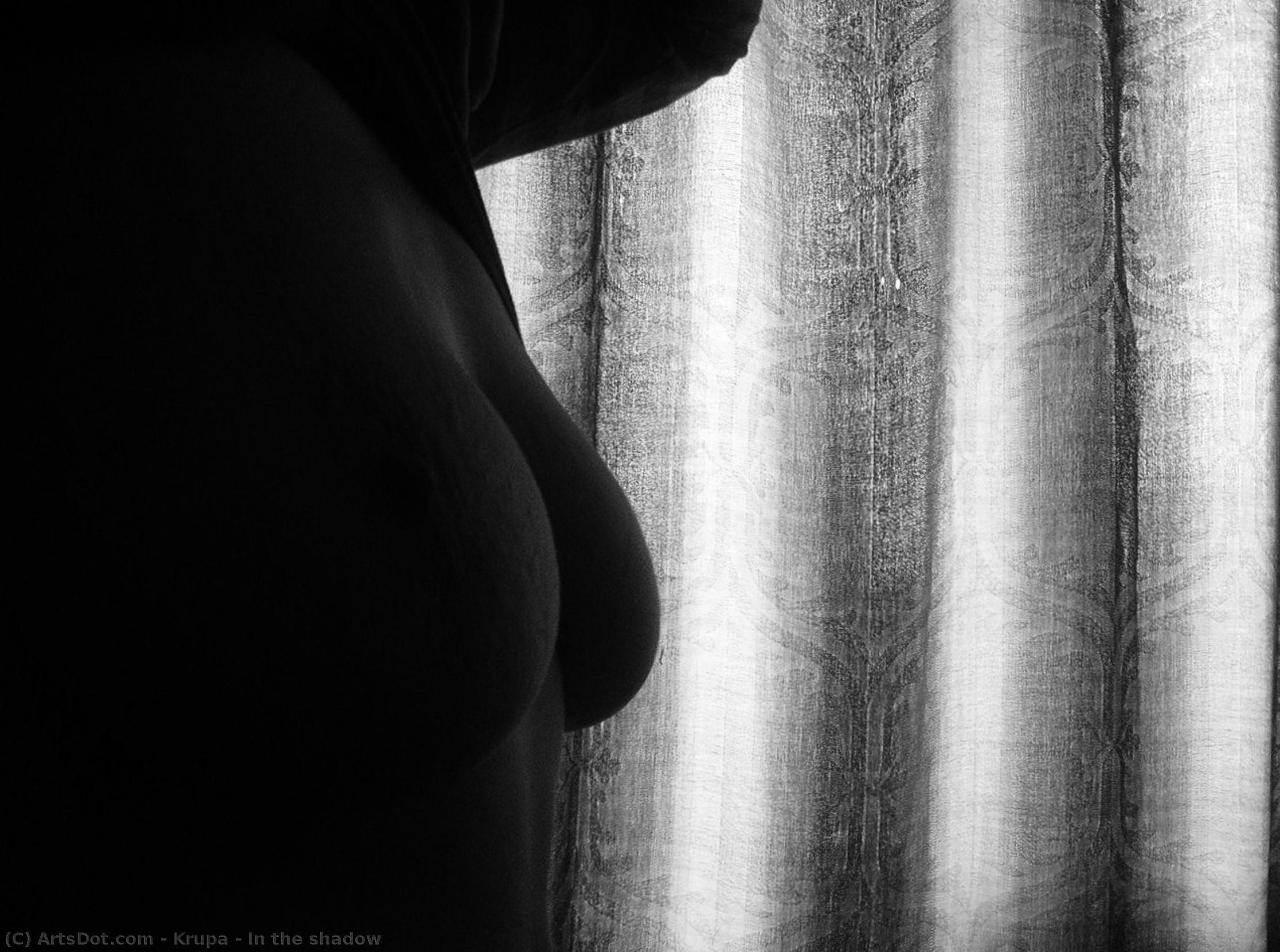 In The Shadow — Alfred Freddy Krupa