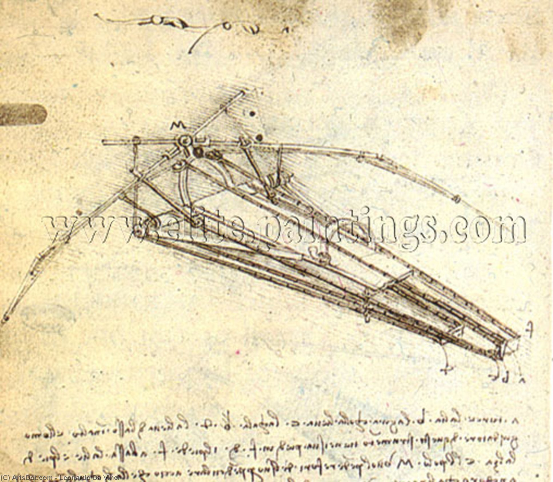 One Of Leonardo Da Vinci's Designs For An Ornithopter — Leonardo Da Vinci