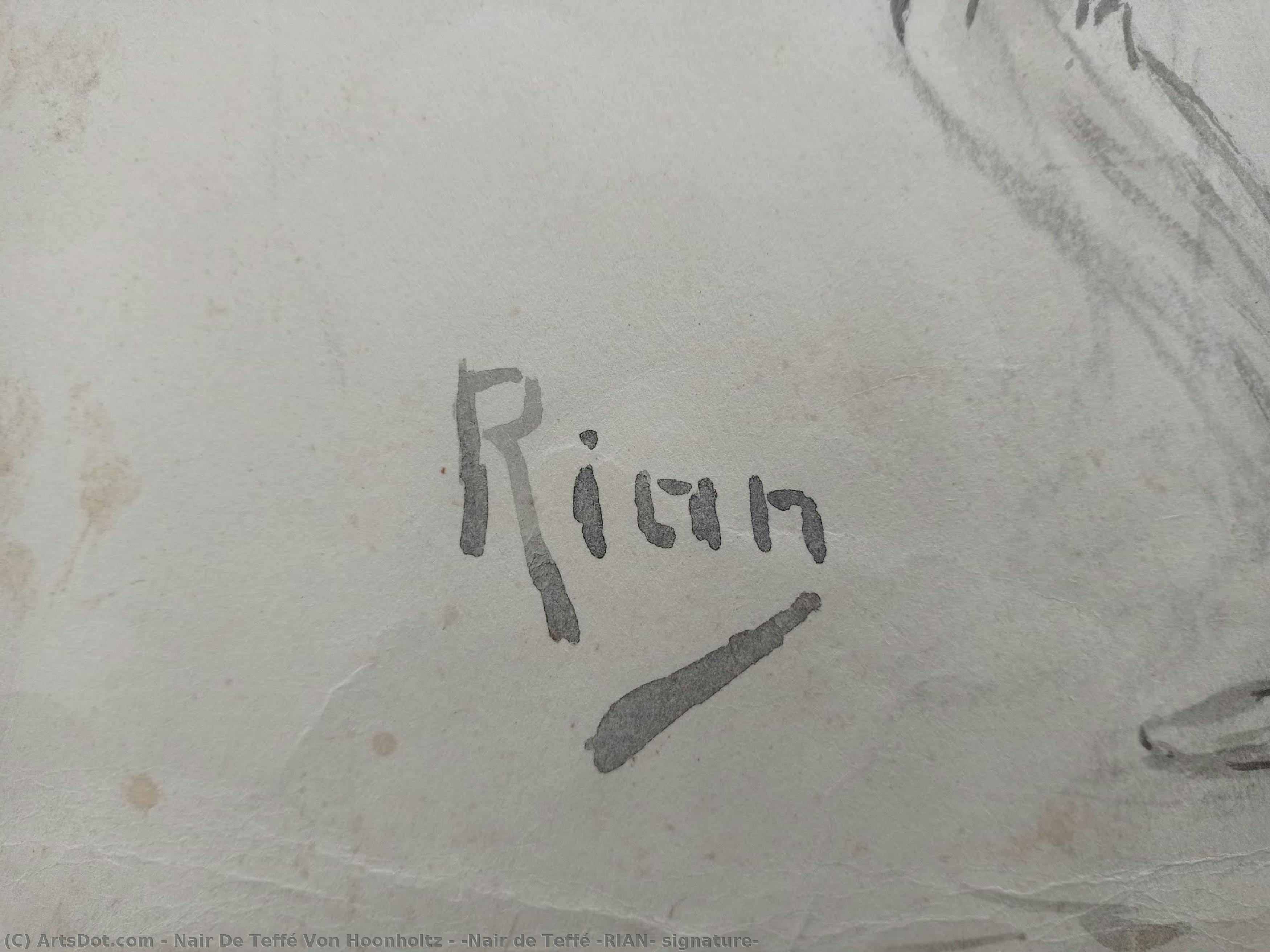 [nair De Teffé (rian) Signature] — Nair De Teffé Von Hoonholtz
