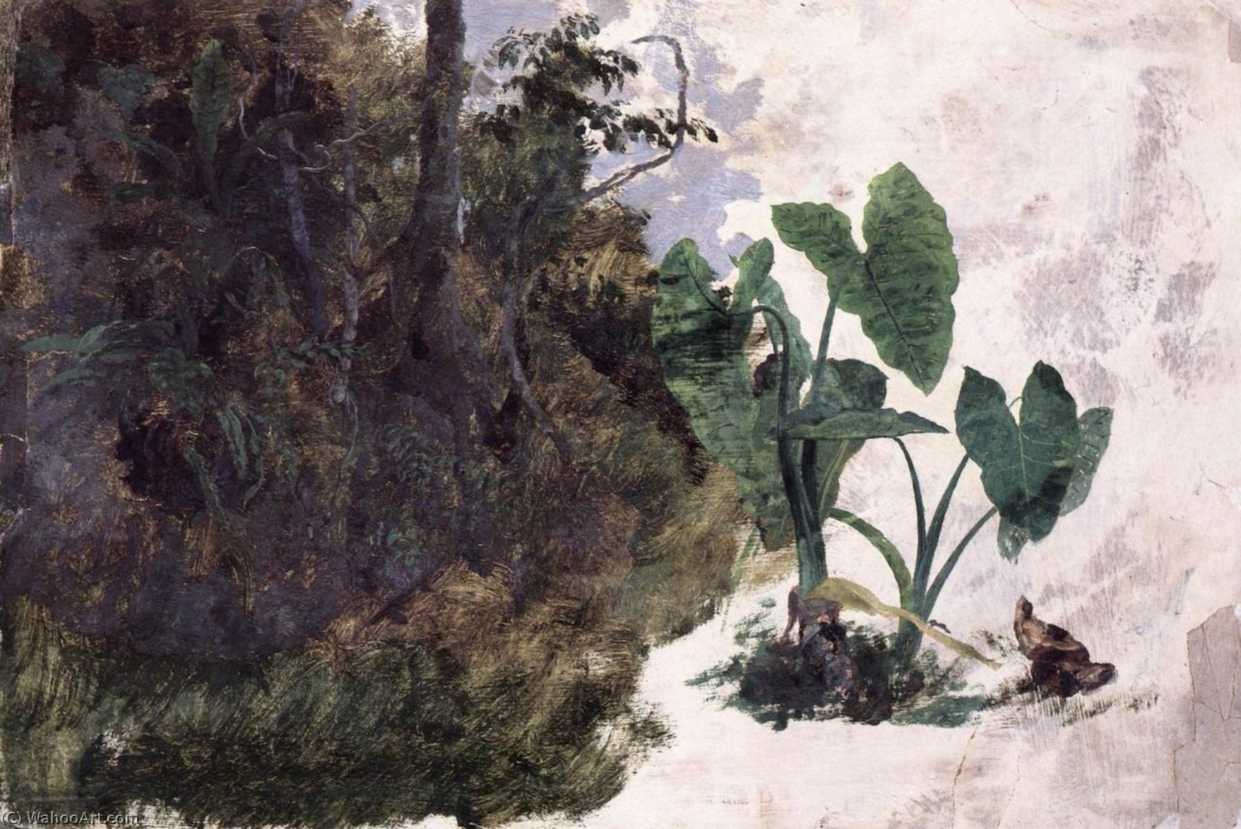 Hojas De Mafafa — José María Velasco