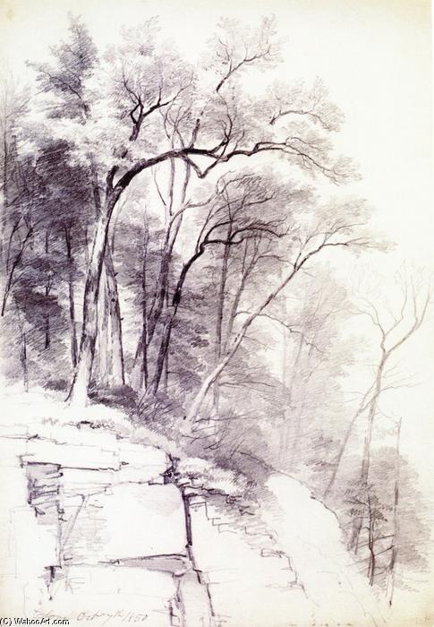 Study Of Trees And Rocks, Kaaterskill Clove, New York — Asher Brown Durand