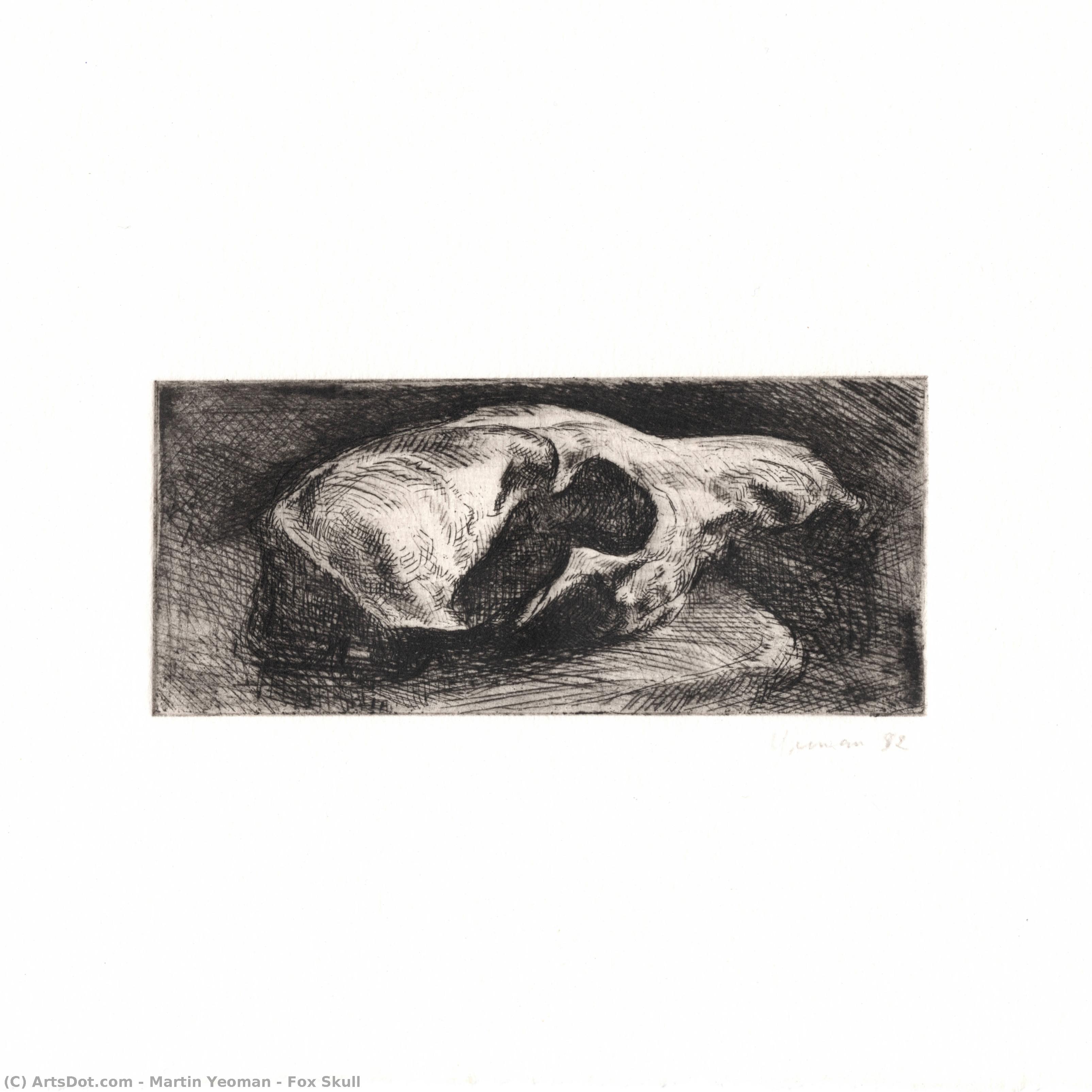 Fox Skull — Martin Yeoman