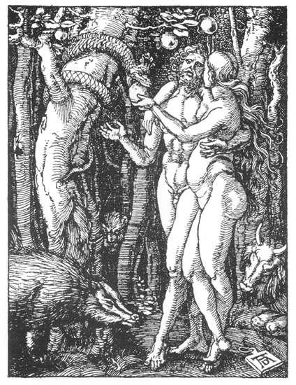 The Fall — Albrecht Dürer