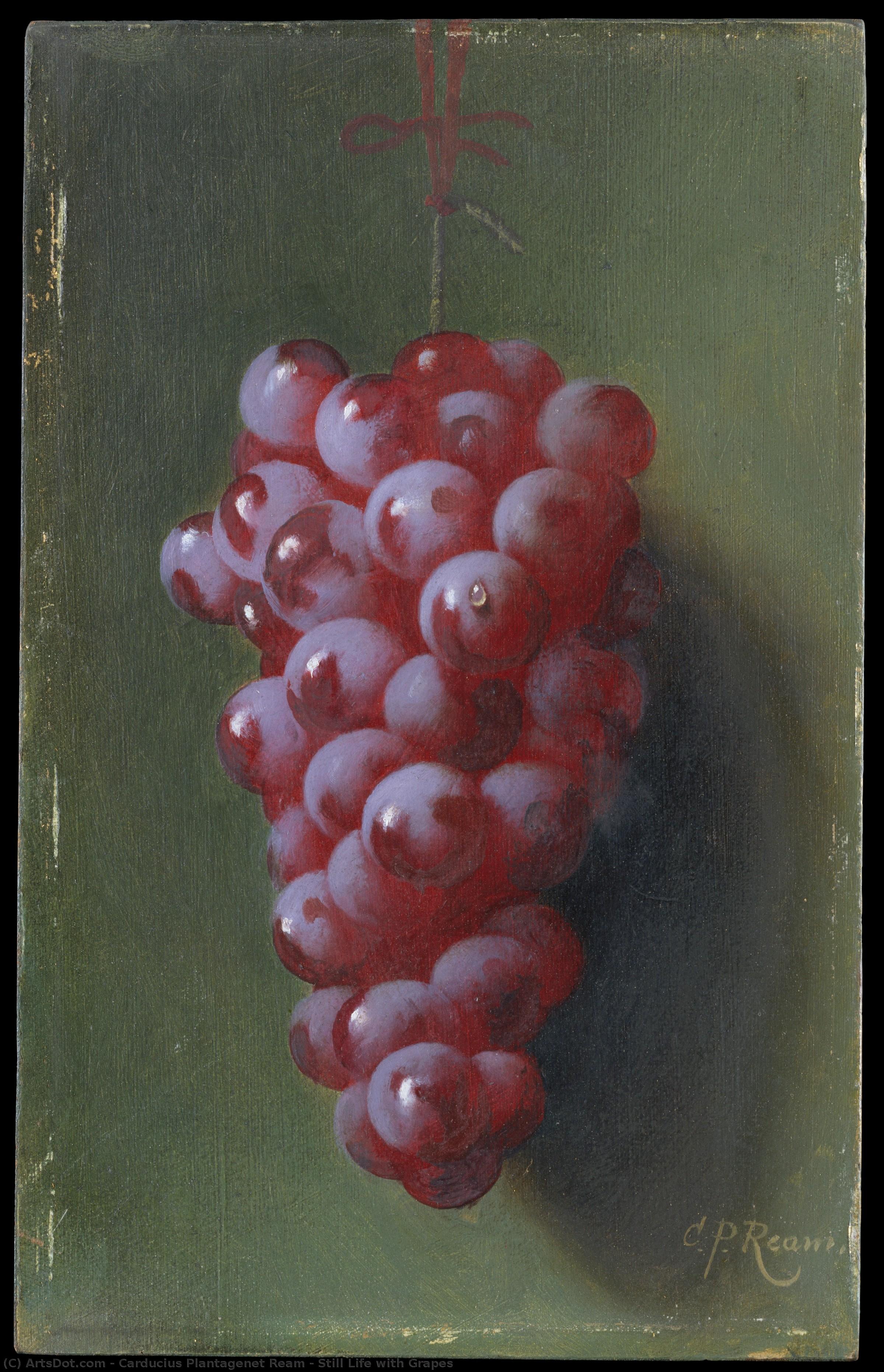 Still Life With Grapes — Carducius Plantagenet Ream