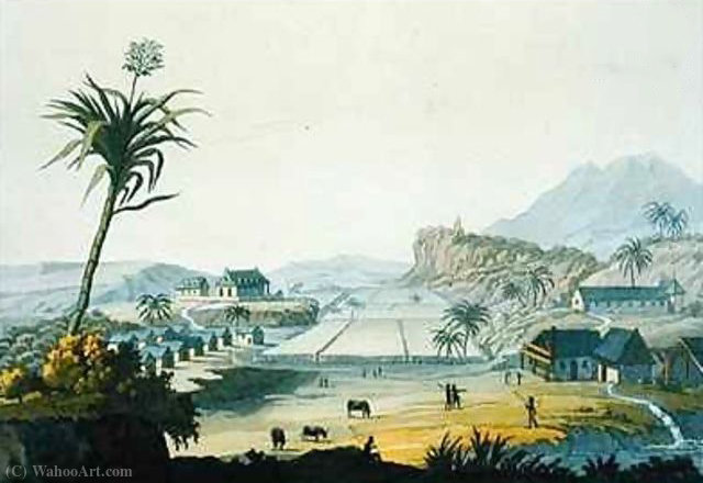 Sugar Plantation Antilles — Paolo Fumagalli