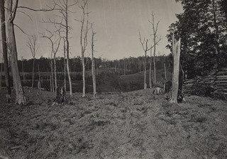 The Battle Ground Of Resaca, No. 1 From The Album Photographic Views Of Sherman's Campaign — George Grey Barnard