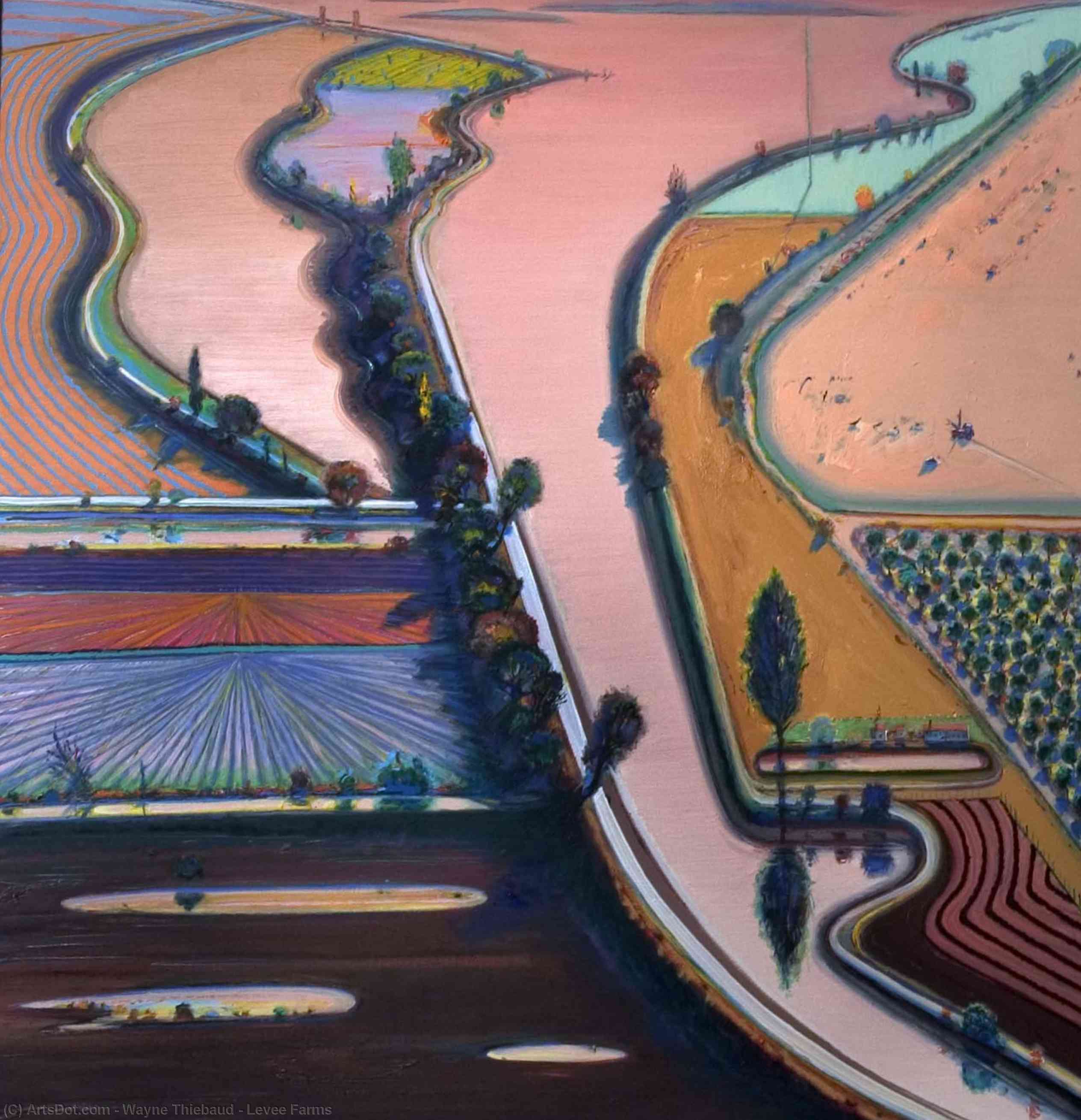 Levee Farms — Вейн Тхибауд