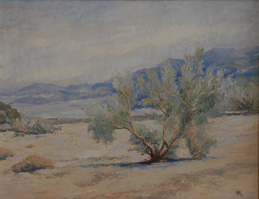 Smoke Tree Wash, (painting) — Mary Agnes Yerkes