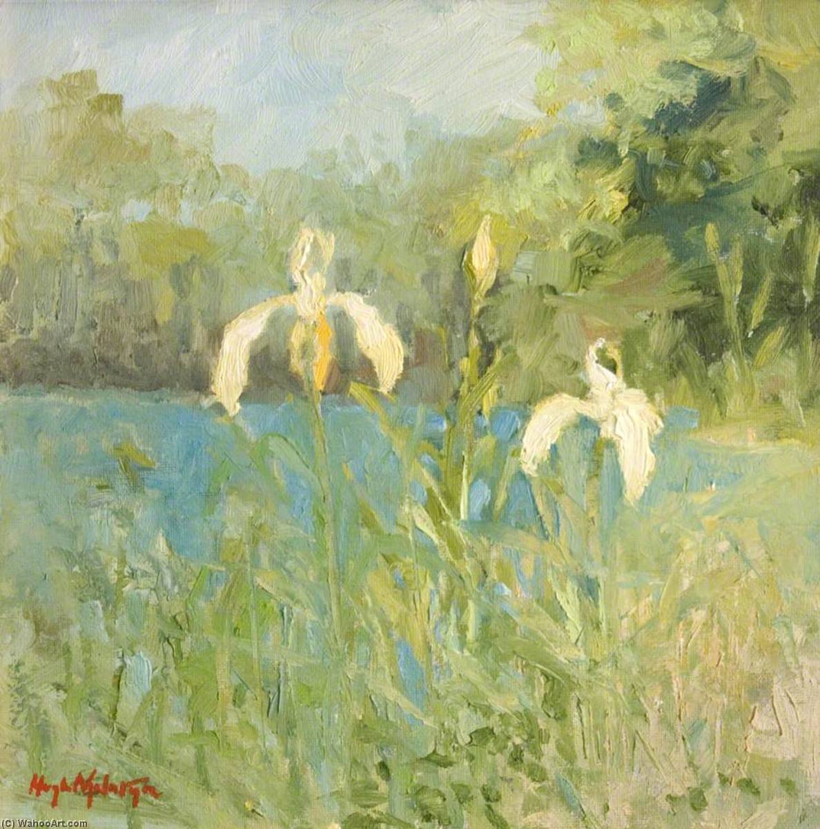 White Iris — Hugh Mcneil Mcintyre