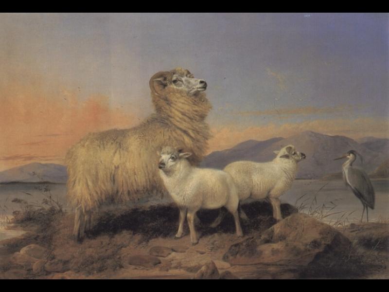 A Ewe With Lambs And A Heron Beside A Loch — Richard Ansdell