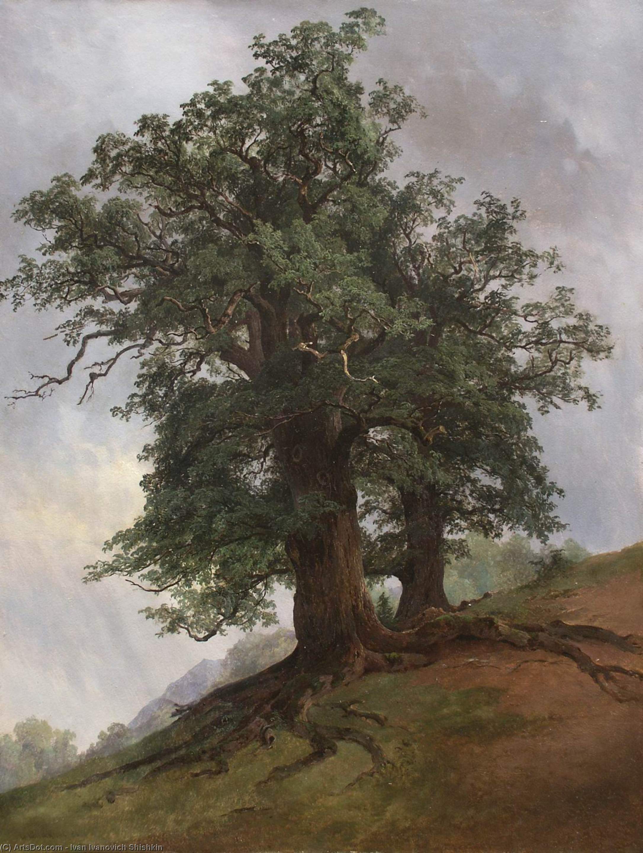 Old Oak — Ivan Ivanovich Shishkin