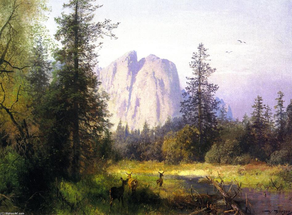 Yosemite Valley - A Family Of Deer — Herman Herzog