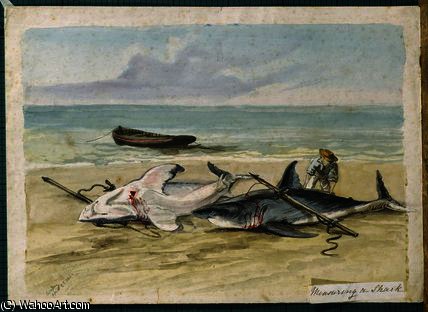 Man Measuring Two Dead Sharks On A Beach — Томас Бэйнс