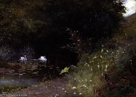 Swans On A Lake — Thomas Mackay