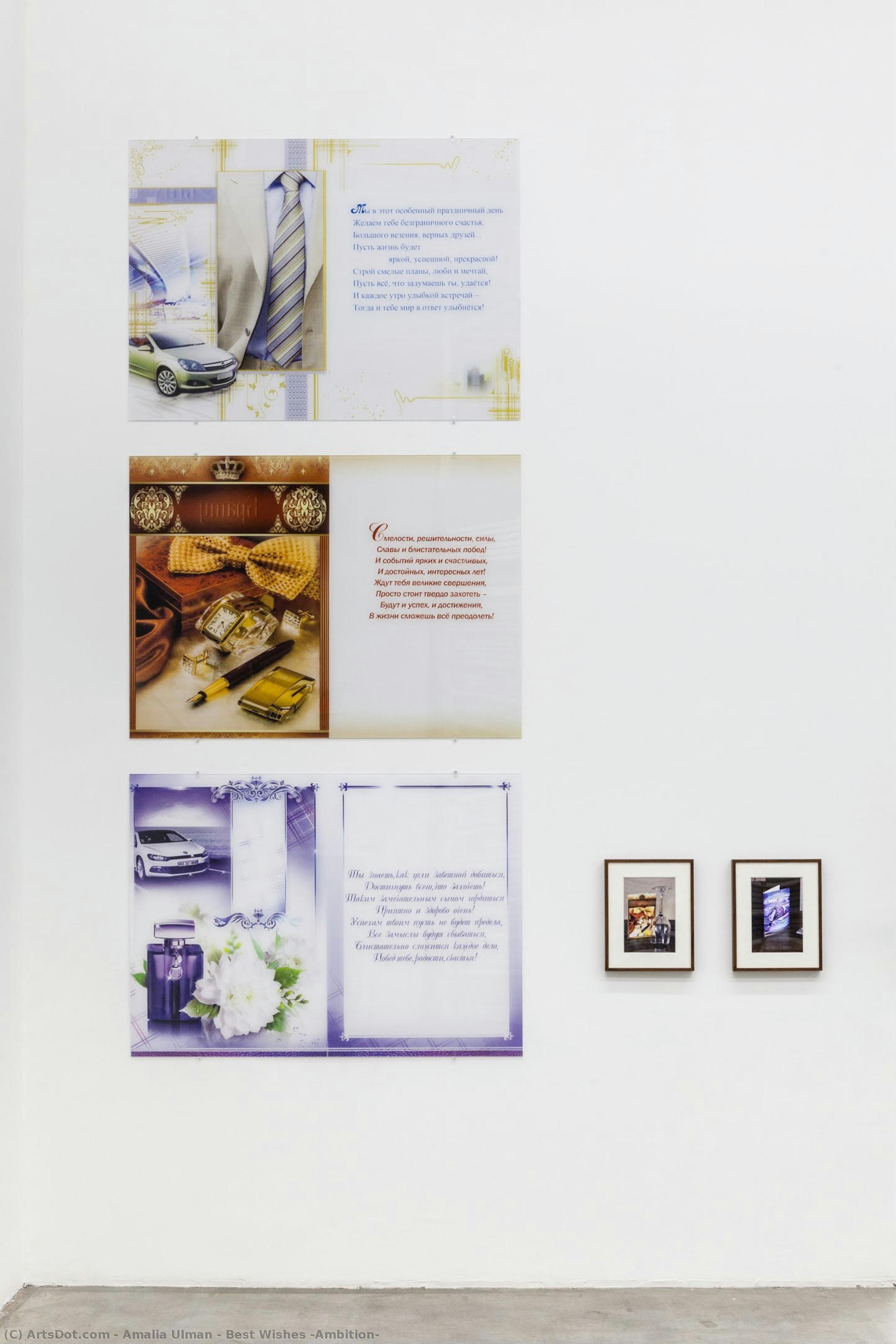 Best Wishes (ambition) — Amalia Ulman