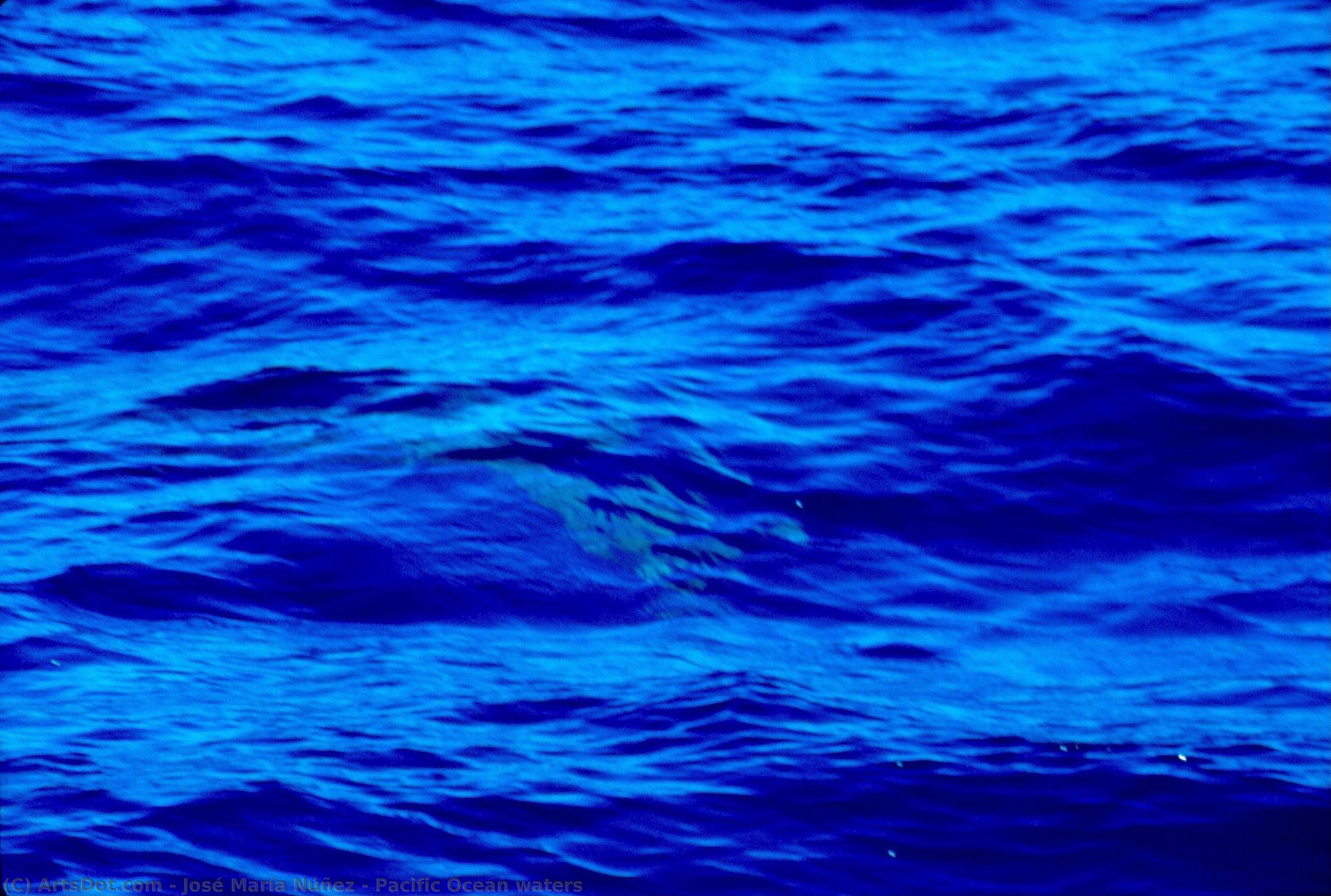 Pacific Ocean Waters — José María Núñez