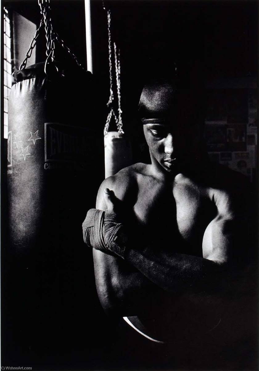Unidentified Boxer With Arms Crossed — Christina Koci Hernandez