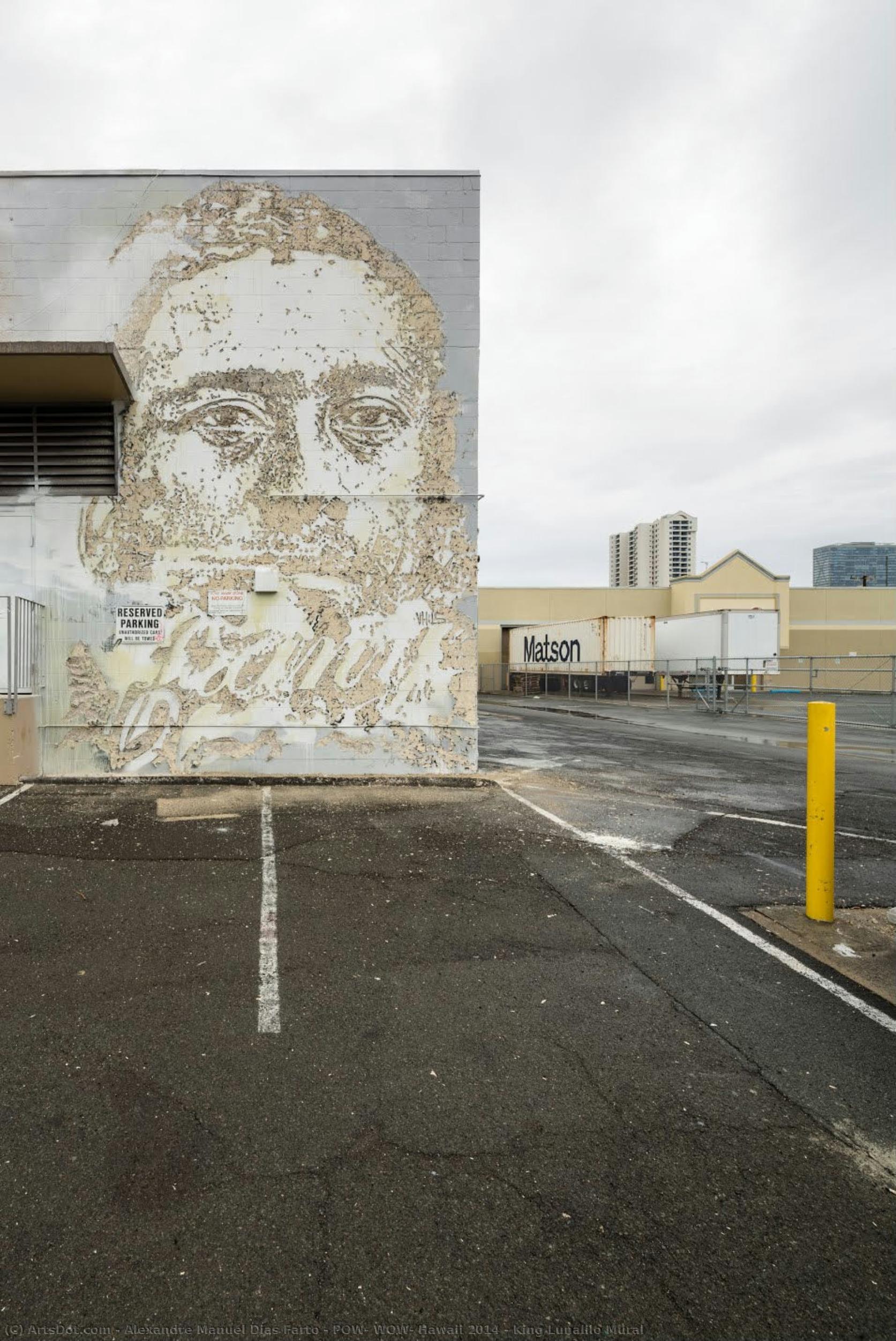 Pow! Wow! Hawaii 2014 - King Lunalilo Mural — Alexandre Manuel Dias Farto