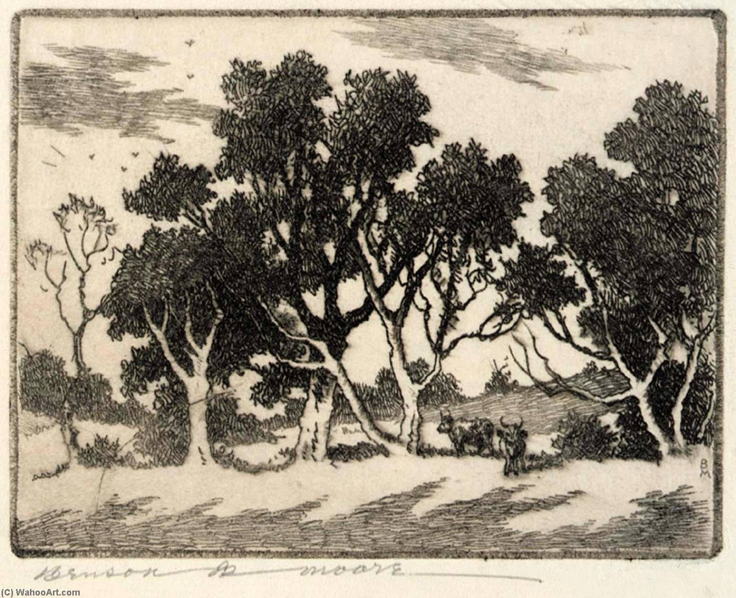 Near Front Royal, Virginia — Benson B Moore