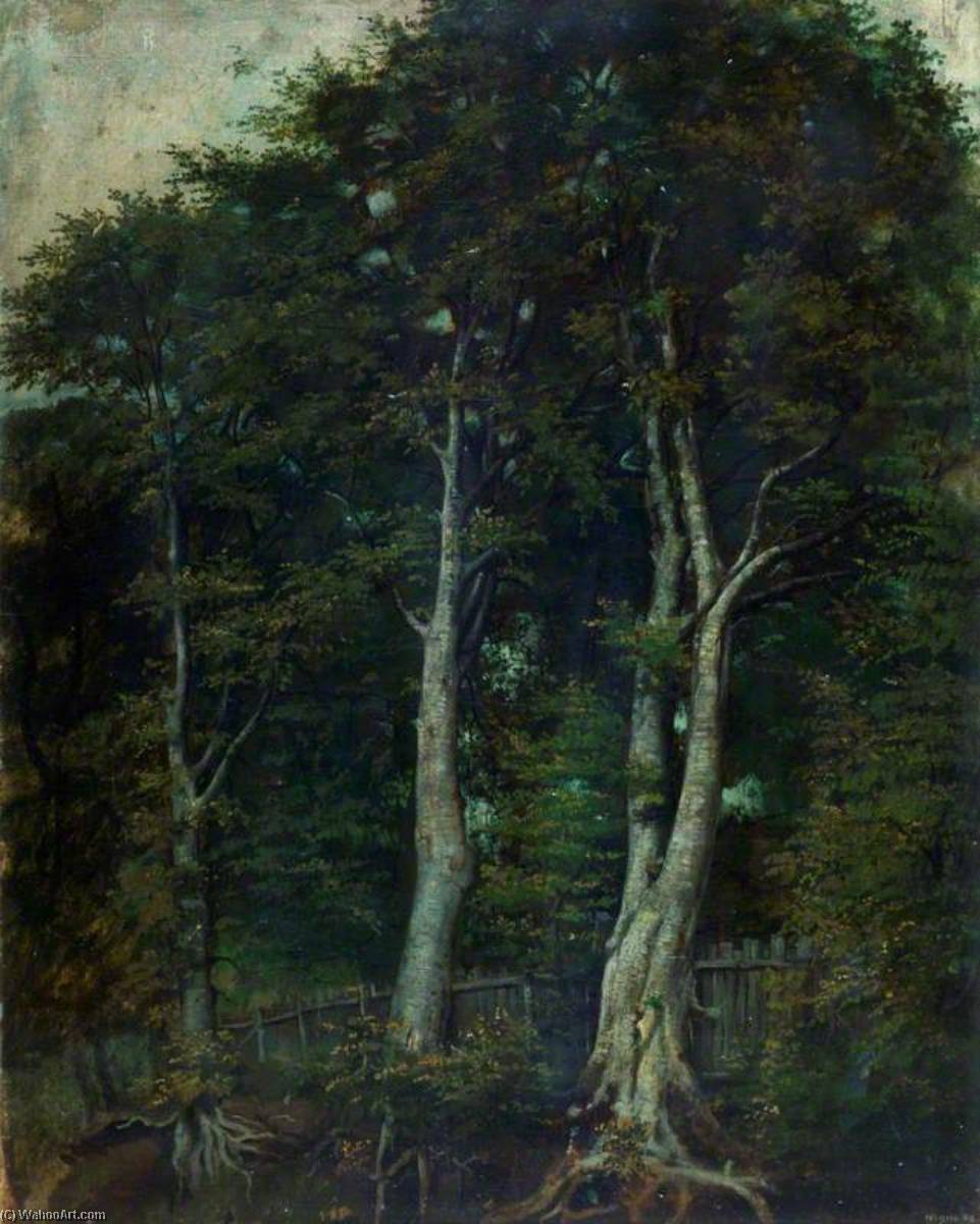 Beech Trees — Alfred Clint