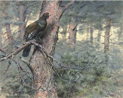 Capercaillie, On Scots Pine — George Edward Lodge