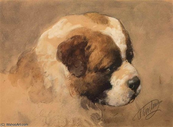 A Study Of A Saint Bernard Puppy — Otto Eerelman