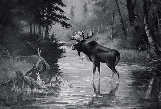 Water And Wood Scene With Moose, (painting) — Von Luerzer