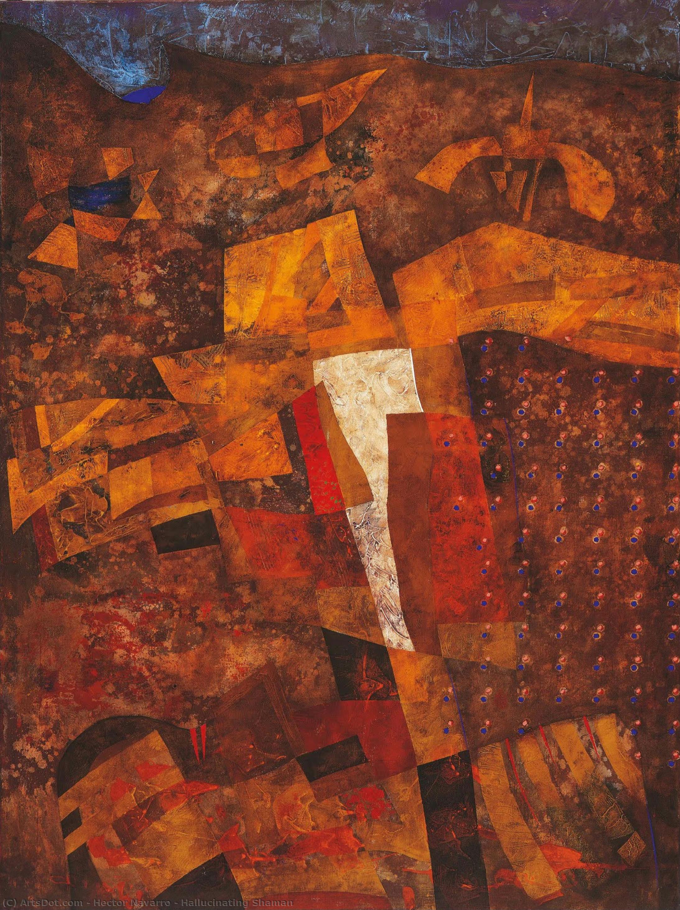 Hallucinating Shaman — Hector Navarro