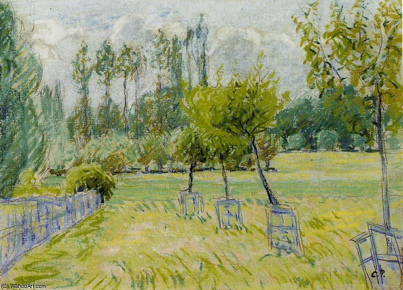 Study Of Apple Trees At Eragny. — Kamij Pisaro