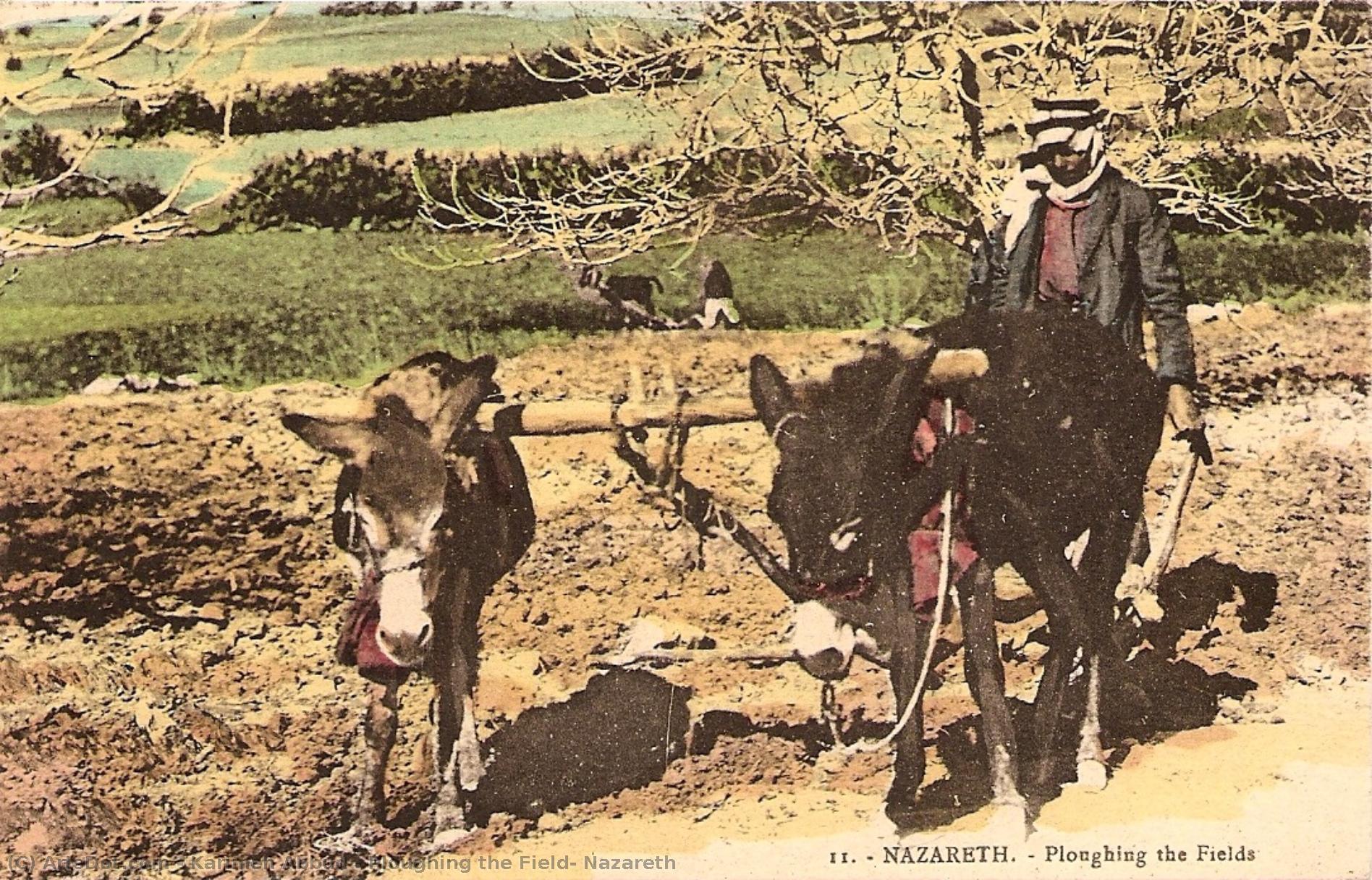 Ploughing The Field, Nazareth — Karimeh Abboud