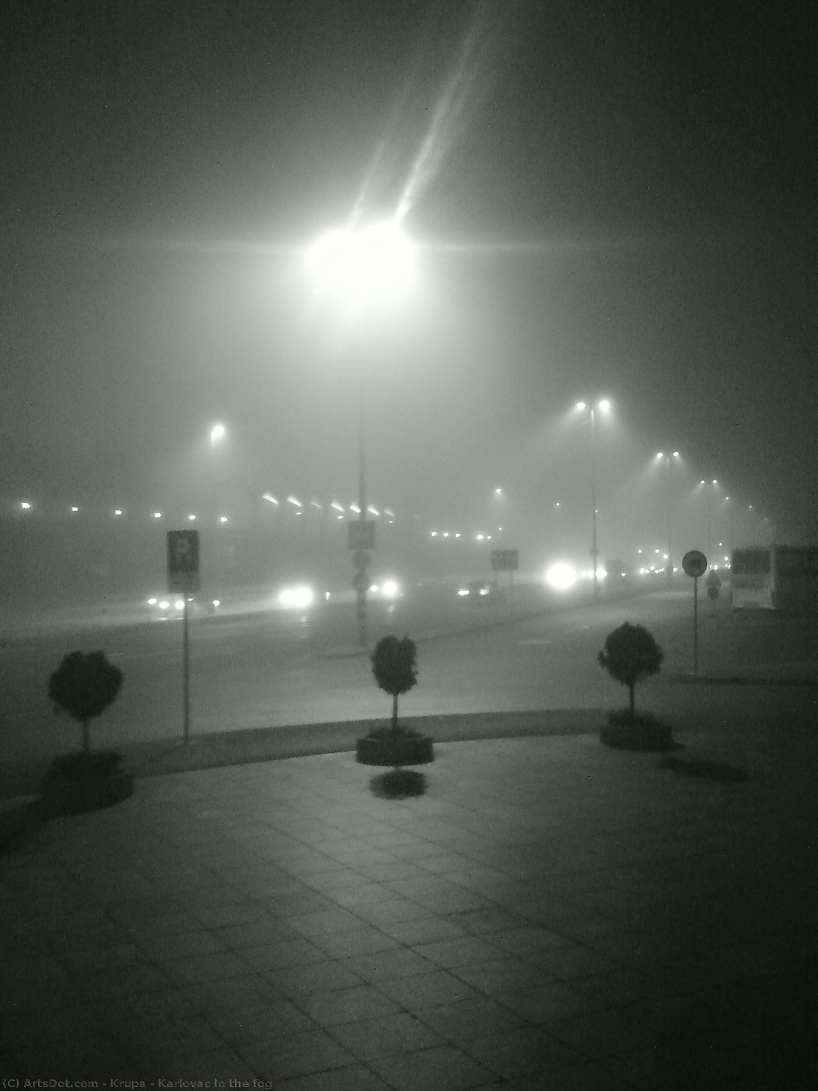 Karlovac In The Fog — Alfred Freddy Krupa