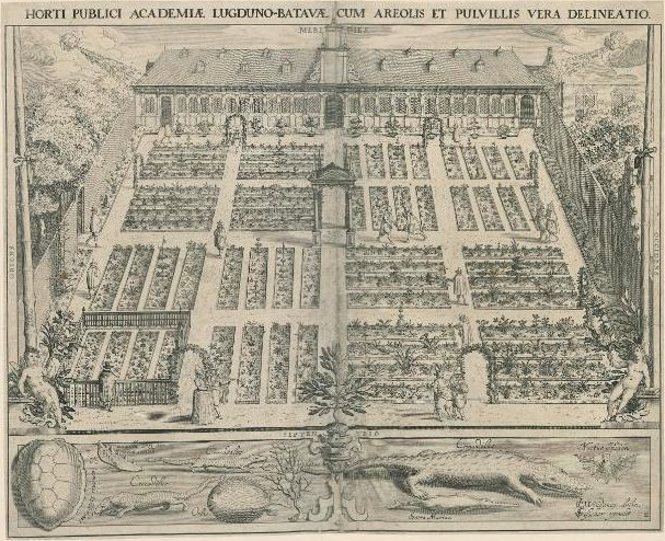 Hortus Botanicus Leiden — Willem Isaacsz Van Swanenburg