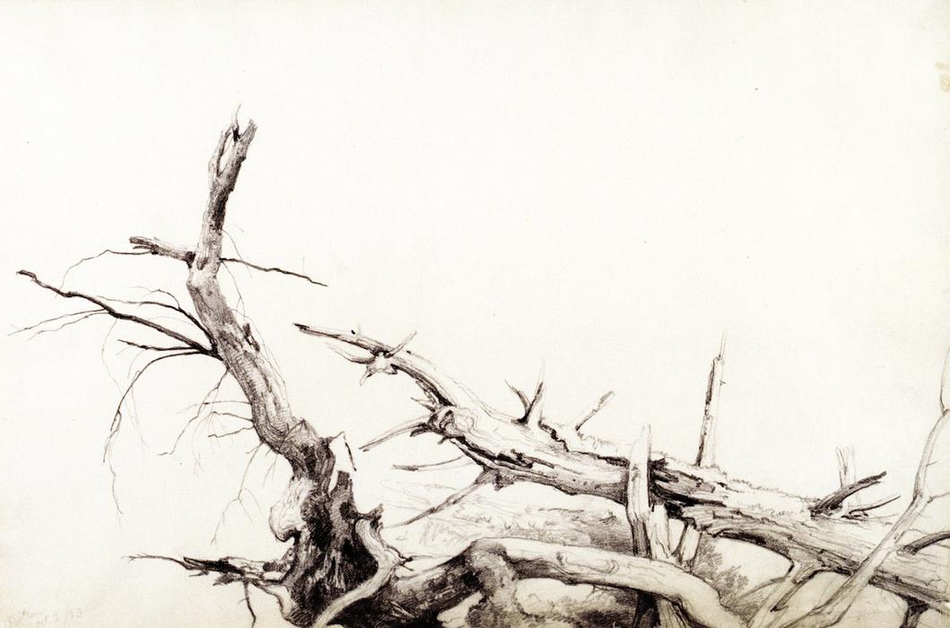 Study Of Fallen Tree Trunks, Bolton, Lake George, New York — Asher Brown Durand